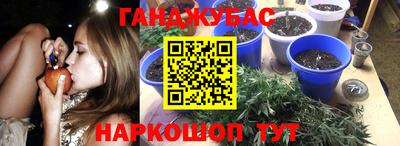 бошки Донской