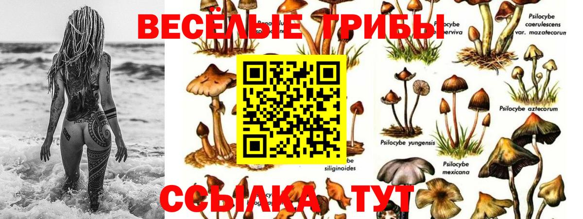 Галлюциногенные грибы Magic Shrooms  Вход с VPN  Галлюциногенные грибы мицелий  Кашира 