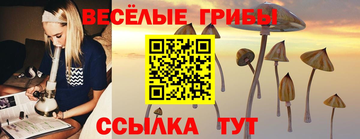 Галлюциногенные грибы MAGIC MUSHROOMS Кашира